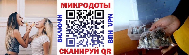 Купить  Красноярск  Псилоцибиновые грибы прущие грибы 